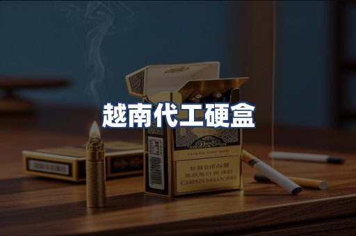 越南代工硬盒